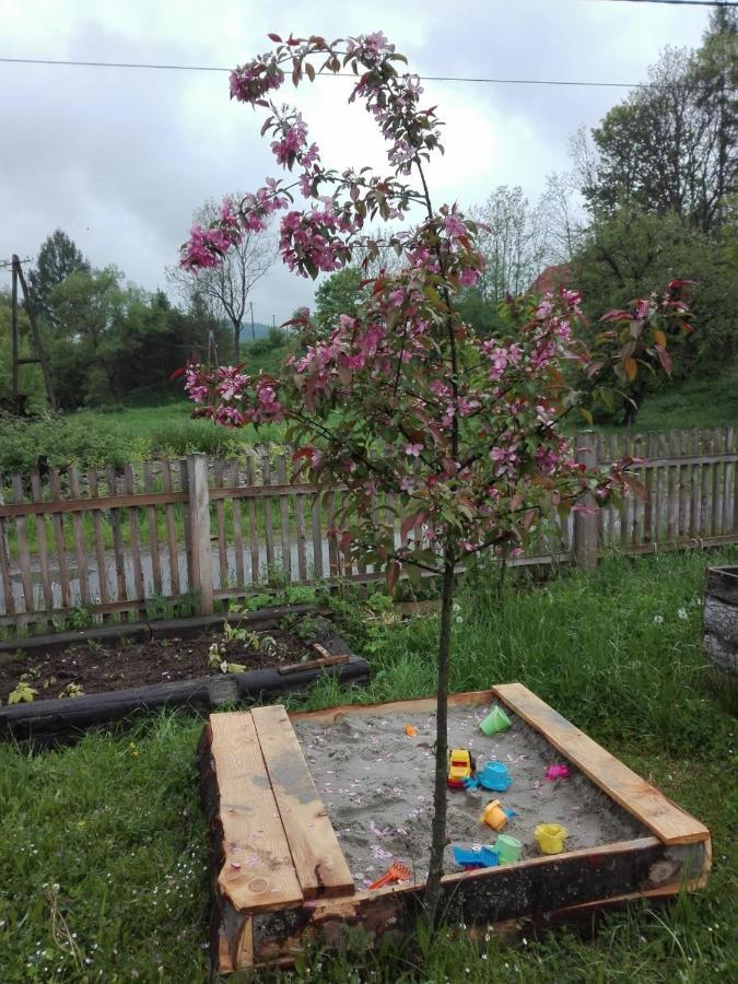 JasliskaPod Bieszczadem别墅 外观 照片
